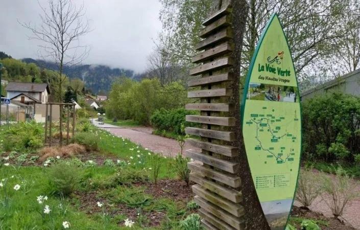 Gite De Famille Dans Les Vosges Saint-Maurice-sur-Moselle Ngoại thất bức ảnh
