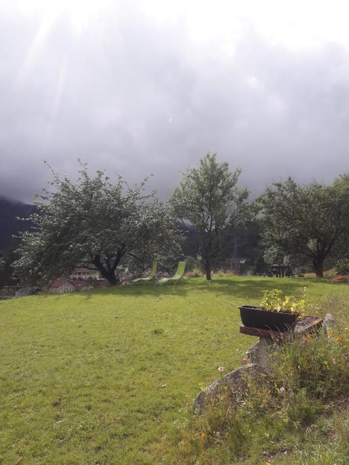 Gite De Famille Dans Les Vosges Saint-Maurice-sur-Moselle Ngoại thất bức ảnh