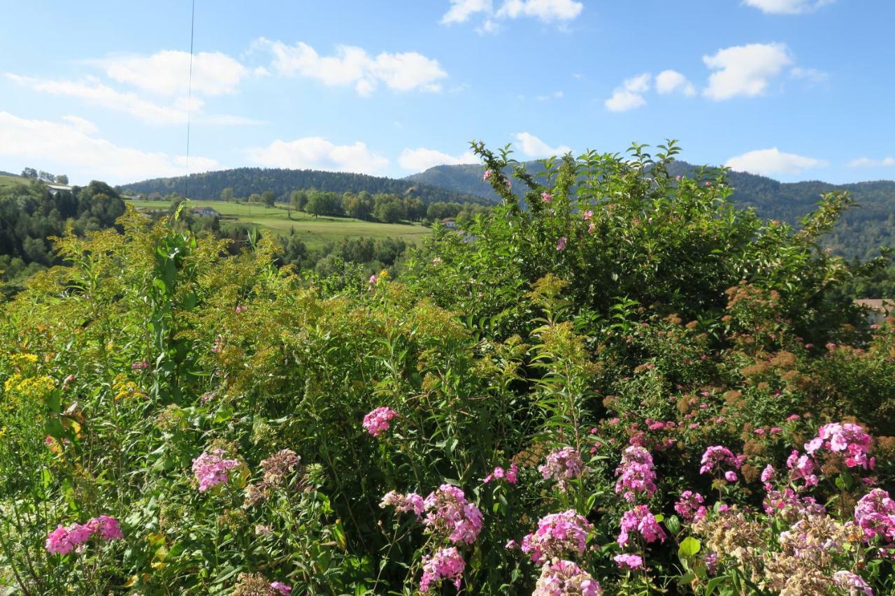 Gite De Famille Dans Les Vosges Saint-Maurice-sur-Moselle Ngoại thất bức ảnh