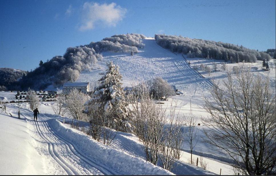 Gite De Famille Dans Les Vosges Saint-Maurice-sur-Moselle Ngoại thất bức ảnh