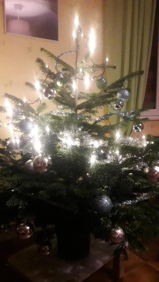 Gite De Famille Dans Les Vosges Saint-Maurice-sur-Moselle Ngoại thất bức ảnh